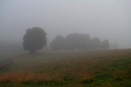 Vanishing landscape