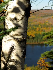 171010-FS-Superior-SAR-birchandoberglake