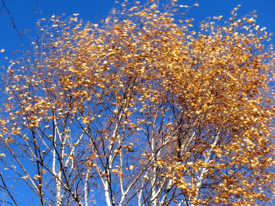 20201013-FS-Superior-SAR-009