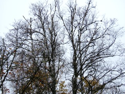 20181009-FS-Superior-SAR-005