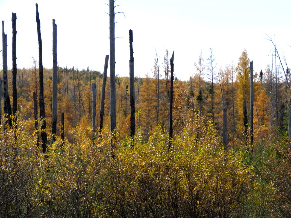 171017-FS-Superior-SAR-hamlakefiregrowth