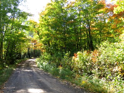 Along the fall color route 3