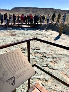 The campers studied an interpreted track site at Mill Canyon Track Site near Moab, UT. Photo by BLM-UT