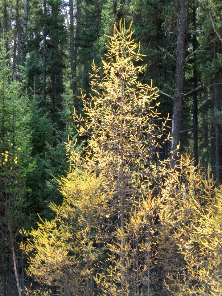 20201013-FS-Superior-SAR-013