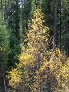 20201013-FS-Superior-SAR-013