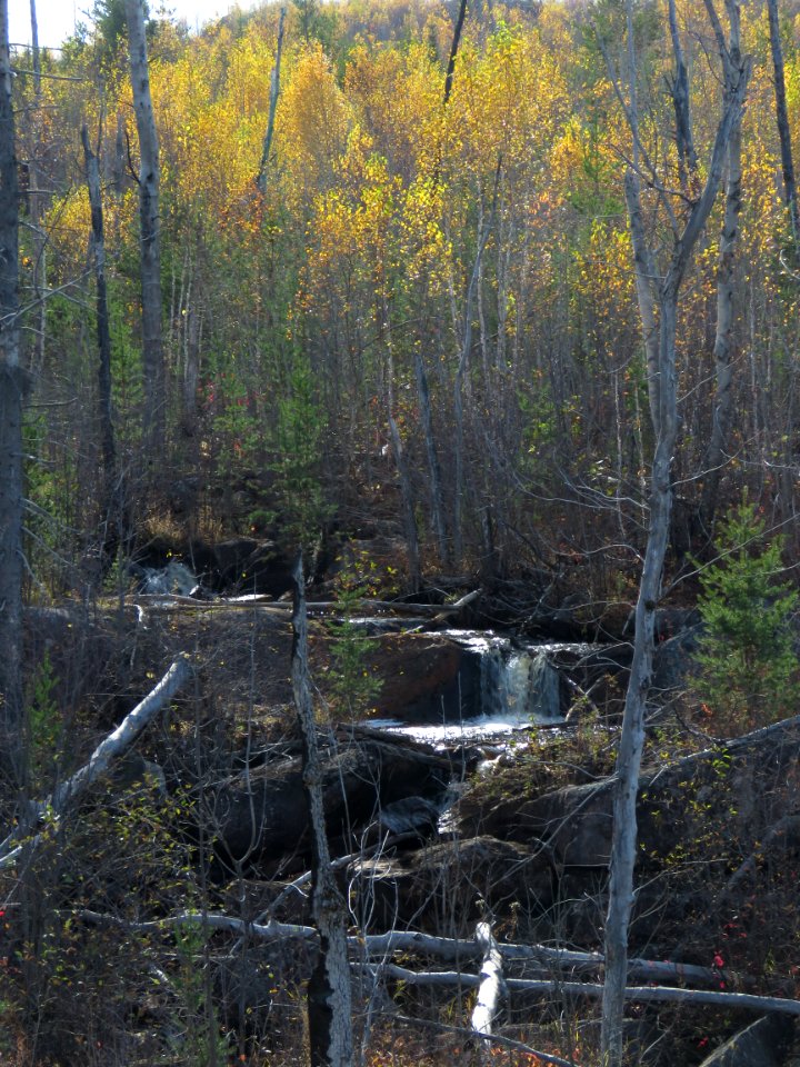 171017-FS-Superior-SAR-waterfallhamlakefirearea photo