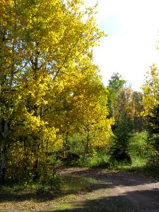 171004-FS-Superior-SAR-600road