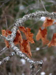 20201020-FS-Superior-SAR-009
