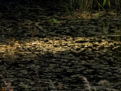 20201013-FS-Superior-SAR-017