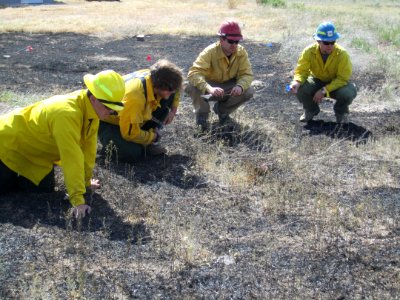 FI-210 Wildland Fire Origin & Cause Determination