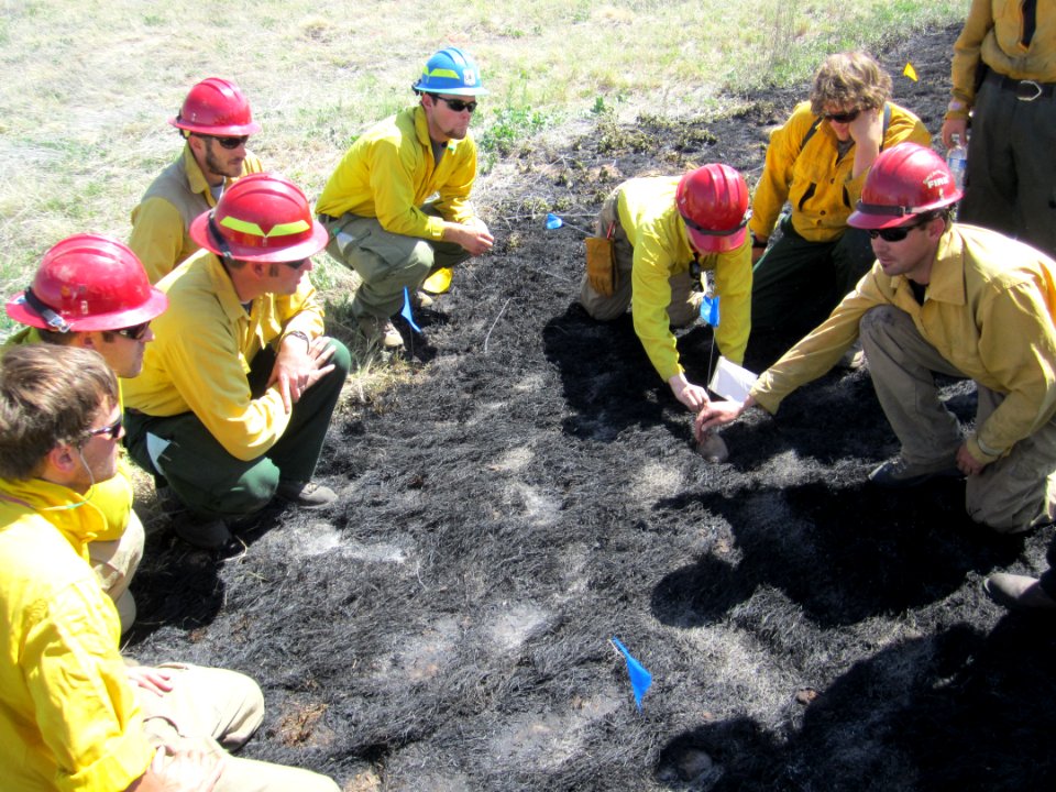 FI-210 Wildland Fire Origin & Cause Determination