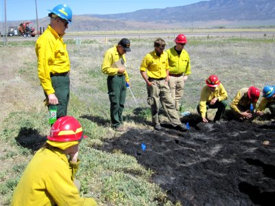 FI-210 Wildland Fire Origin & Cause Determination