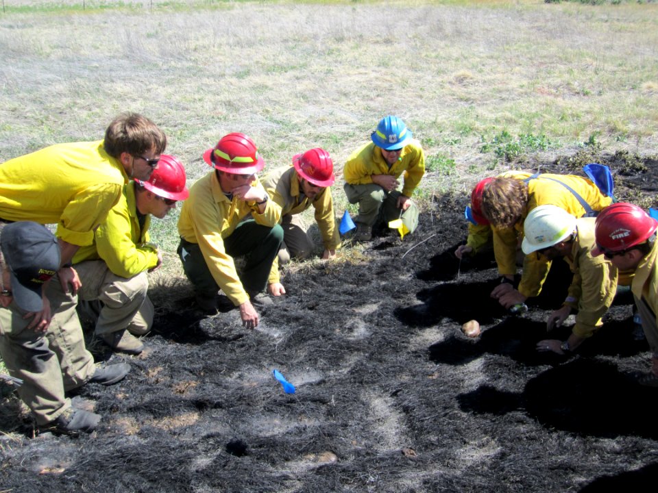 FI-210 Wildland Fire Origin & Cause Determination