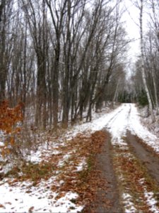 20201020-FS-Superior-SAR-014