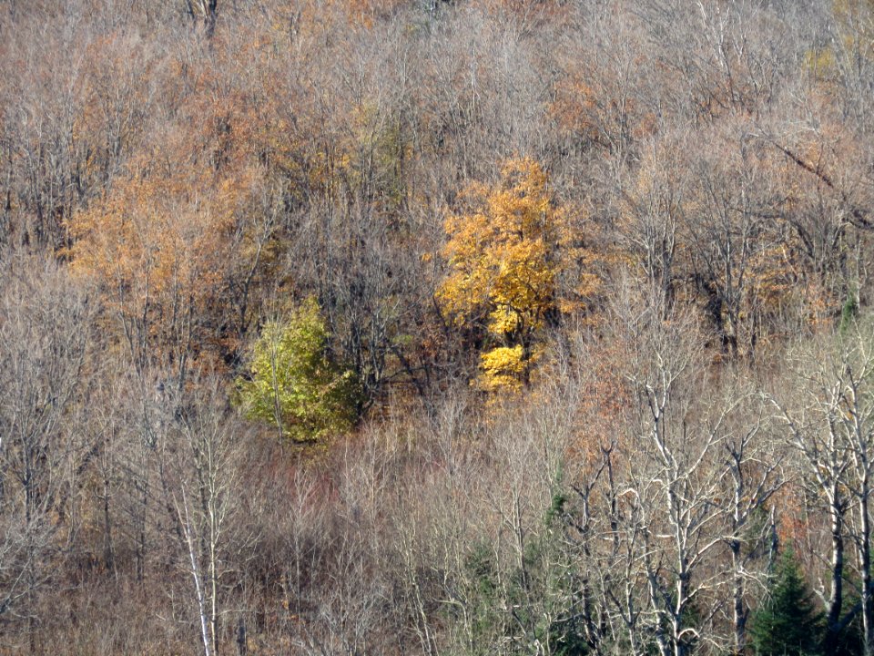 20181017-FS-Superior-SAR-011