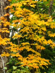 20190910-FS-Superior-SAR-003