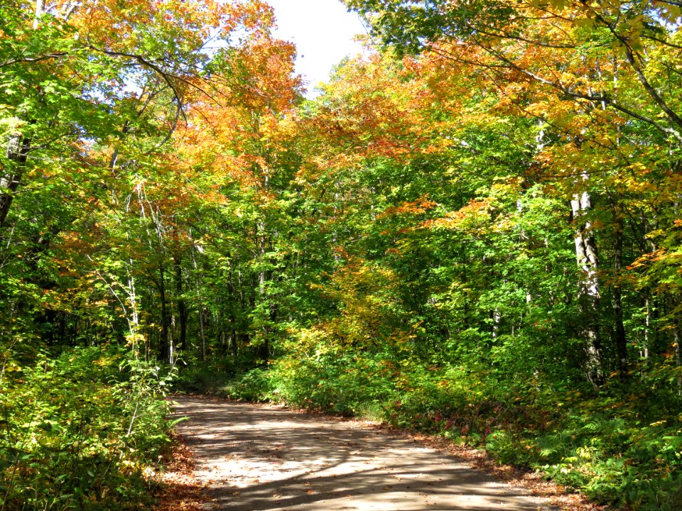 Along the fall color route 5