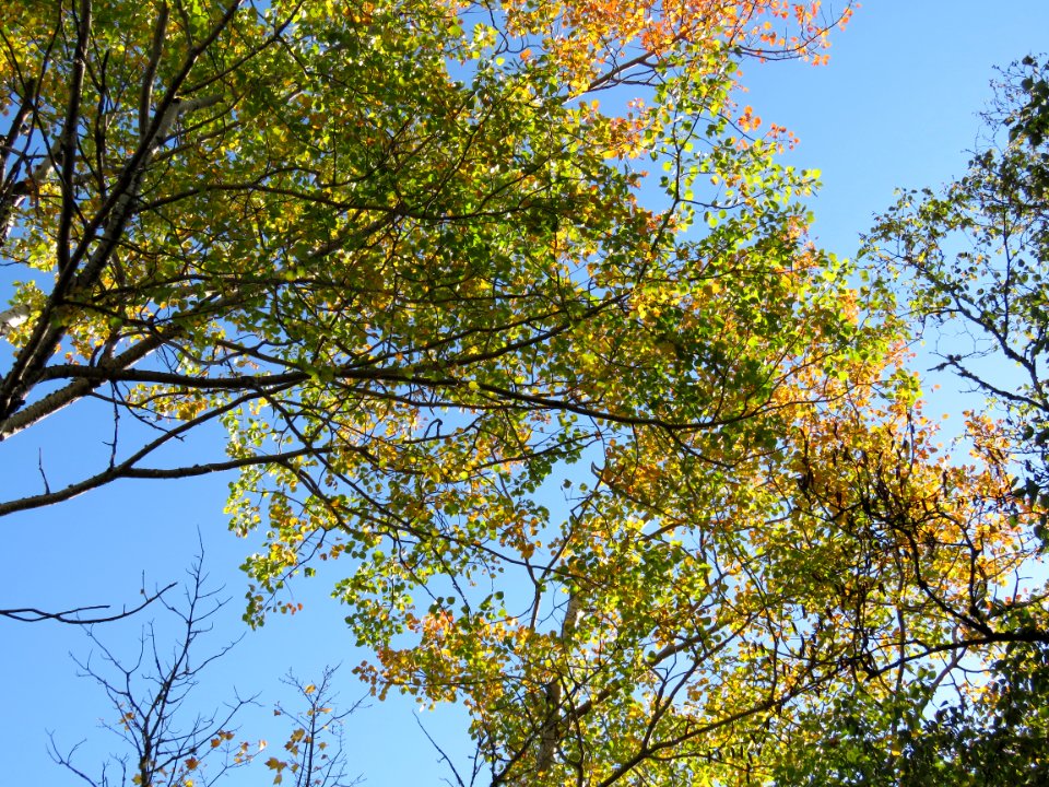 20190924-FS-Superior-SAR-004