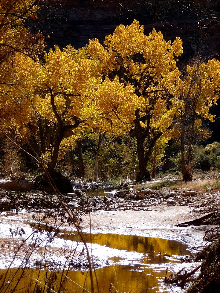 Muleshoe Canyon
