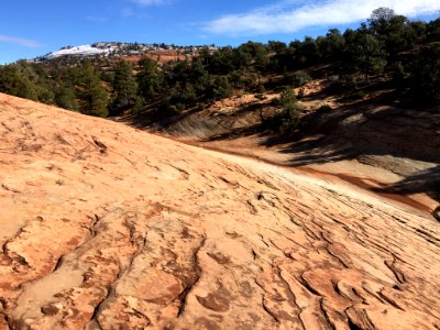 Dino Tracks photo