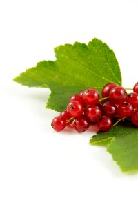 Berries food nature