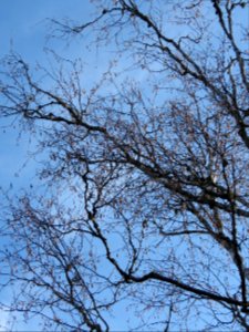 20191029-FS-Superior-SAR-007