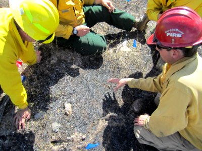 FI-210 Wildland Fire Origin & Cause Determination