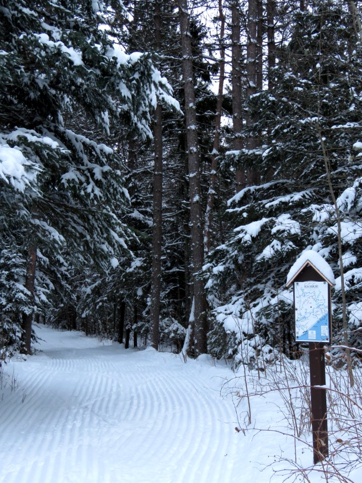 Sugarbush cross country ski trail