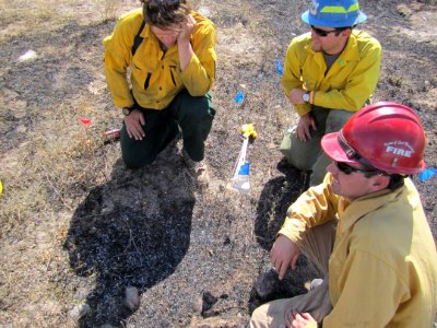 FI-210 Wildland Fire Origin & Cause Determination