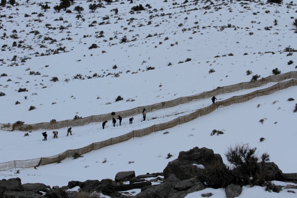Swasey Wild Horse Gather Day 3: 2/14/13