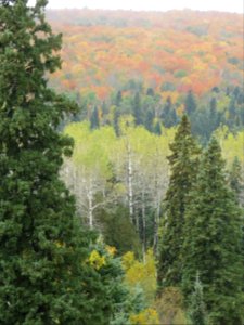20181003-FS-Superior-SAR-017
