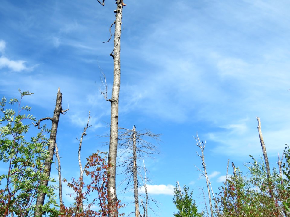 20180911-FS-Superior-SAR-014