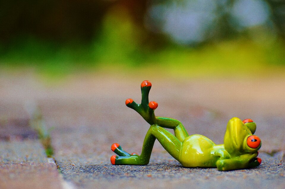 Funny rest relaxation
