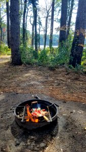 Daingerfield State Park
