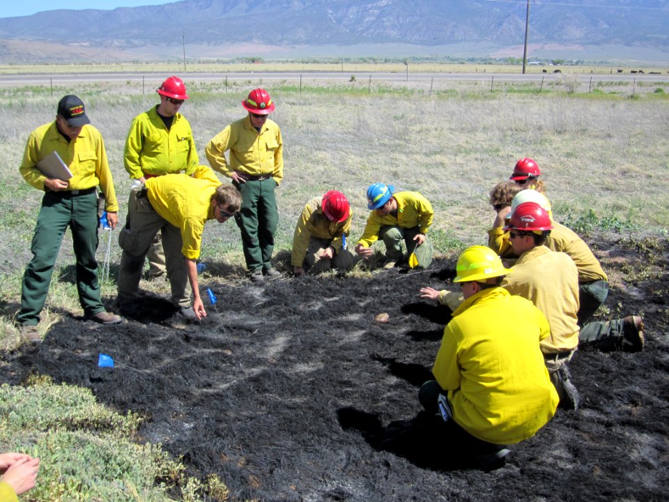 FI-210 Wildland Fire Origin & Cause Determination