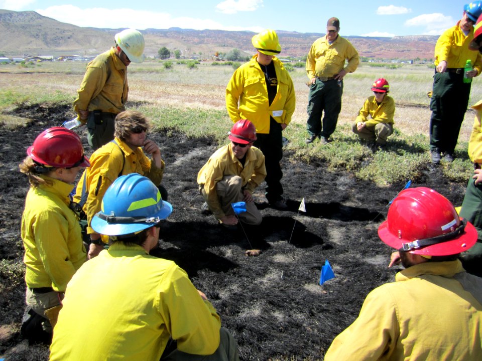 FI-210 Wildland Fire Origin & Cause Determination