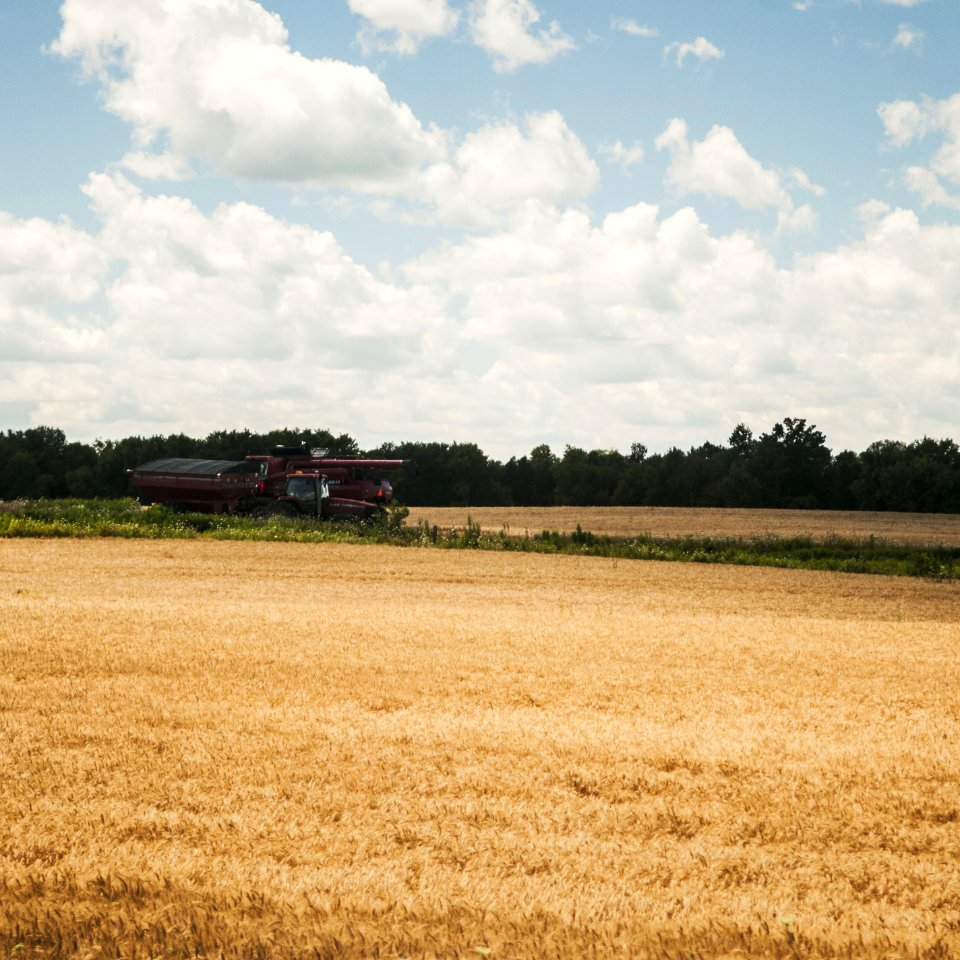 South Simcoe Railway Farmland