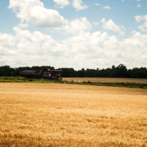 South Simcoe Railway Farmland
