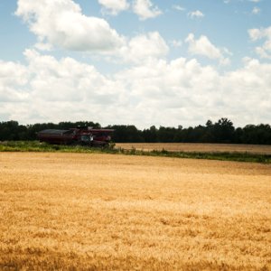 South Simcoe Railway Farmland photo