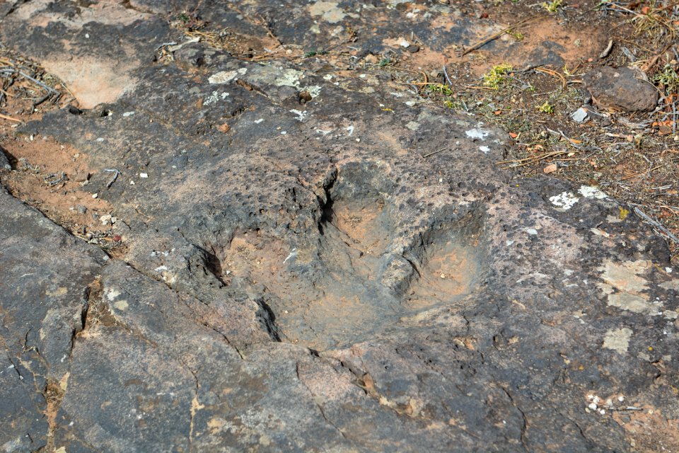 Onion Creek Trail - 10-30-17- 33
