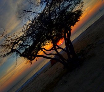 An Aruba sunset