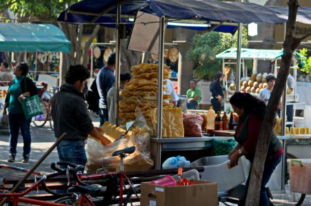 guadalajara 17