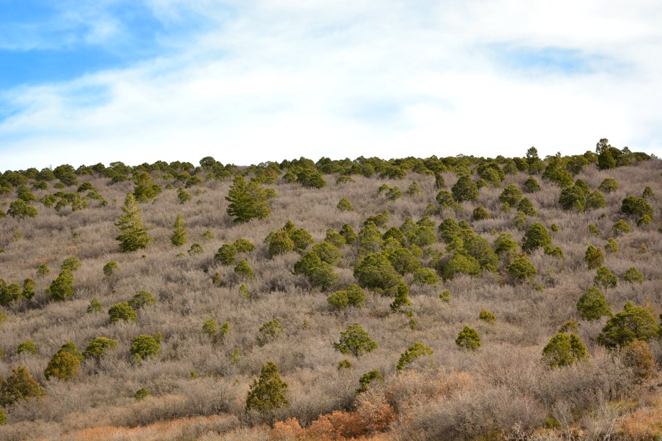 Onion Creek Trail - 10-30-17- 36