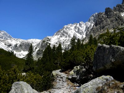 Vysoké Tatry