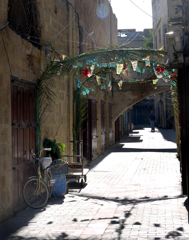 Bike in Sidon Lebanon