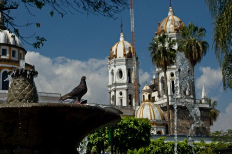 guadalajara 24