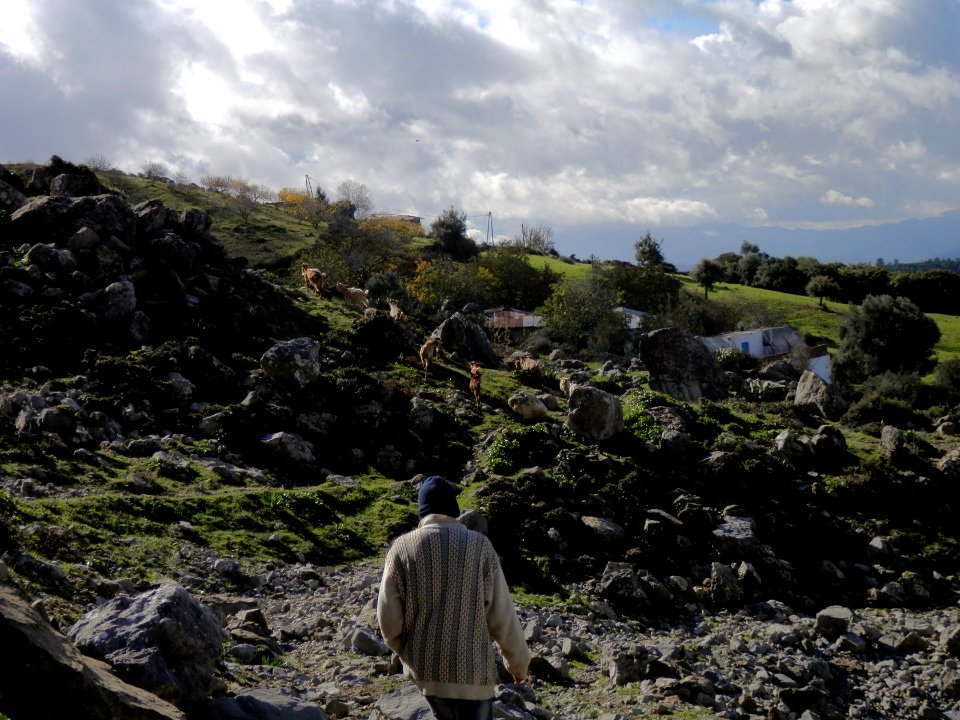 Shepherd in the Rif Mountains