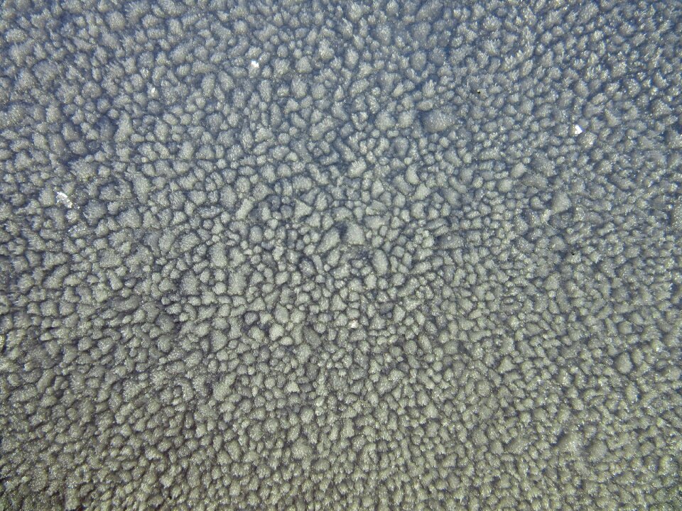 Cold winter crystals