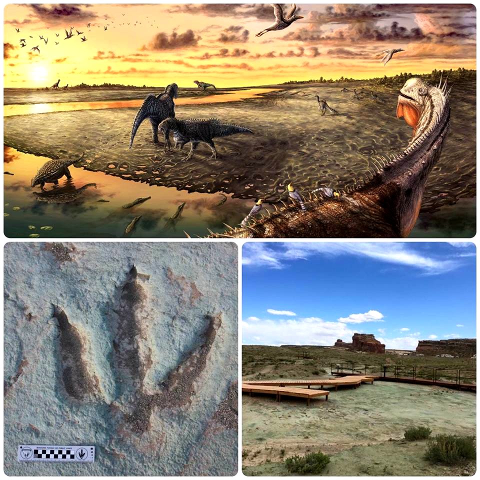 Mill Canyon Dinosaur Track site