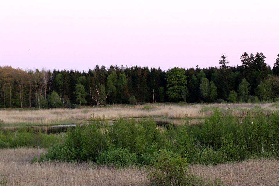 bastemosen